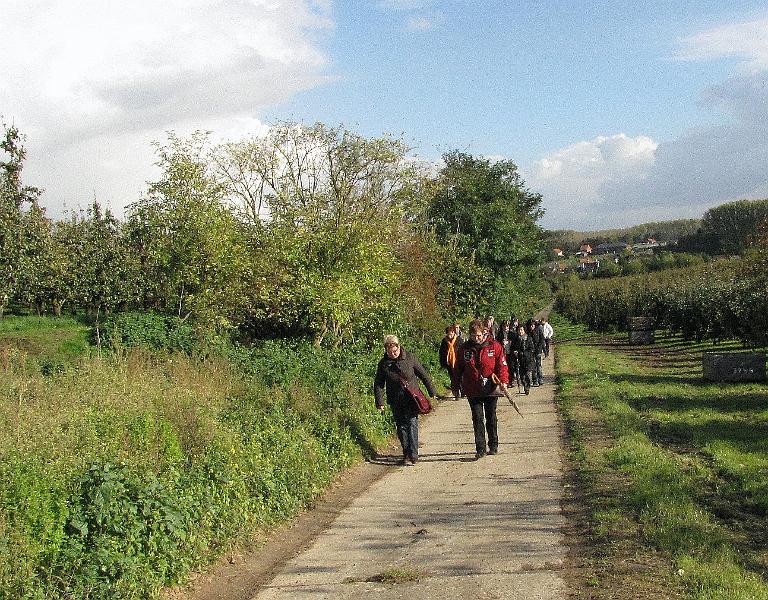 MG Herfstwandeling (36).JPG
